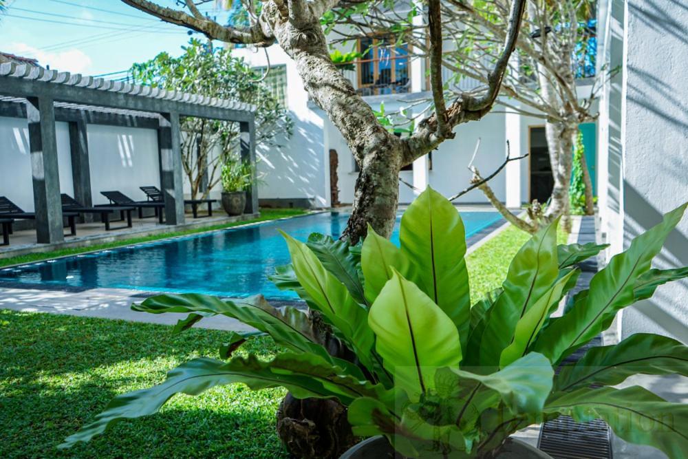 Temptation Hotel Hikkaduwa Bagian luar foto